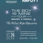 The Boy is Mine Velvet Rope Fan Experience